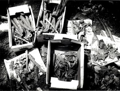 Los huesos pertenecían al Cementerio de Pretos Novos, que funcionó aproximadamente entre 1770 y 1830