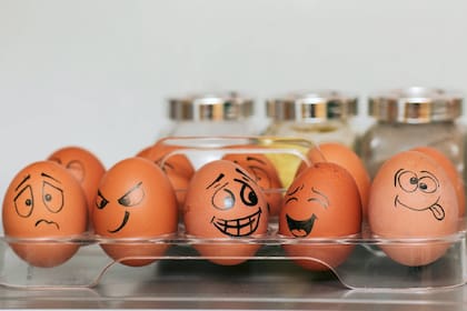 Los huevos no son los causantes principales de los niveles altos de colesterol, según un estudio