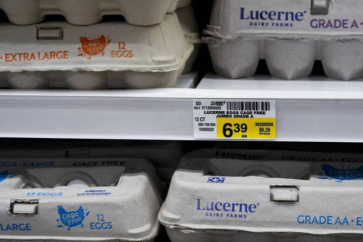 Los huevos se encarecieron el último año en Estados Unidos, en una crisis agravada por la gripe aviar (AP/ Lindsey Wasson)