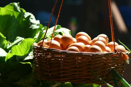 Los huevos son uno de los alimentos más elegidos para desayunar en EE.UU.