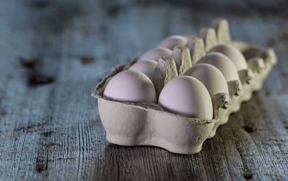 Los huevos tienen proteínas indispensables para una nutrición equilibrada