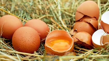 Los huevos producen 440g de CO2 por cada 100 calorías