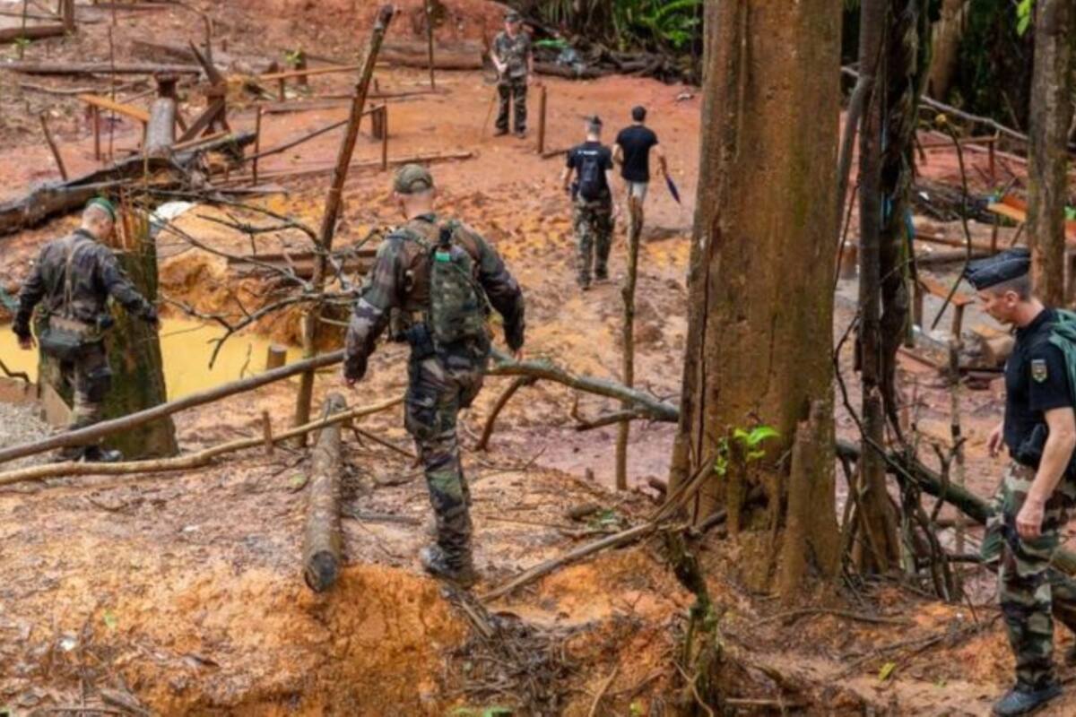 Los humanos están ocasionando la extinción de otras especies mediante la caza, la minería, la pesca excesiva y la tala de bosques