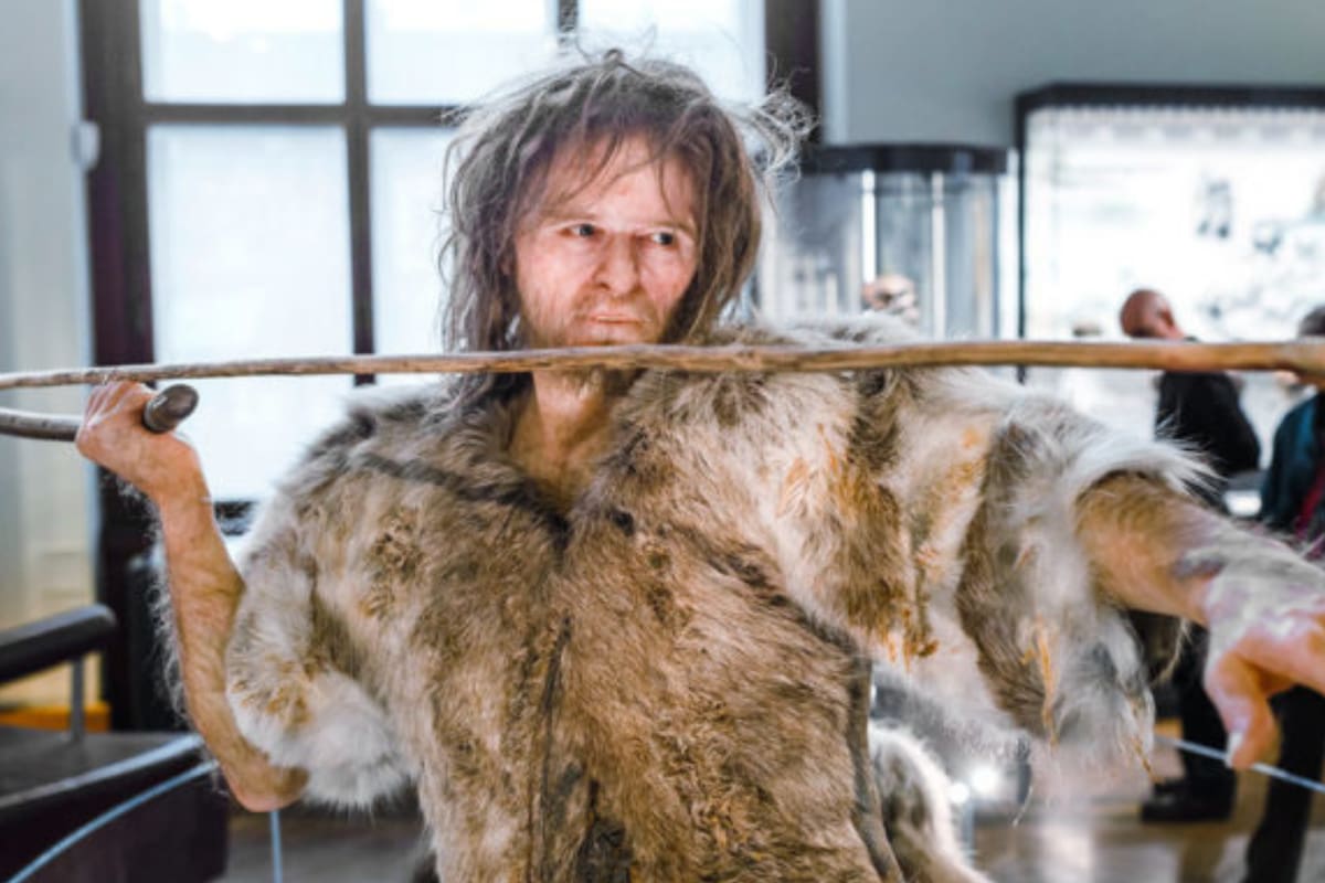 Los humanos fueron supredepredadores durante unos dos millones de años