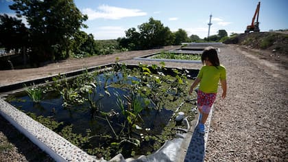 Los humedales reciben el agua del Cildáñez y la reintegran con más oxígeno
