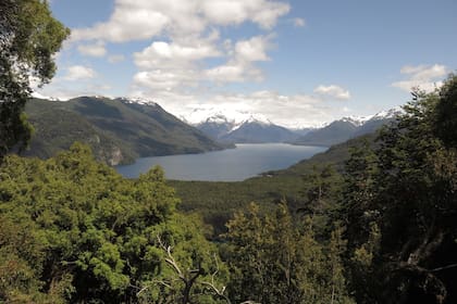 Los imponentes paisajes de lagos y montañas del Parque Nacional Los Alerces