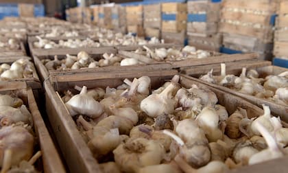 Los importadores de alimentos son cada vez más exigentes con los productores.