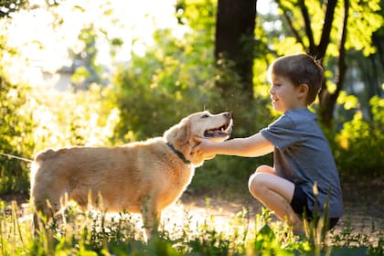 Los impulsores de la iniciativa consideran que la muerte de una mascota es una de las experiencias más duras por las que podrían transitar las personas