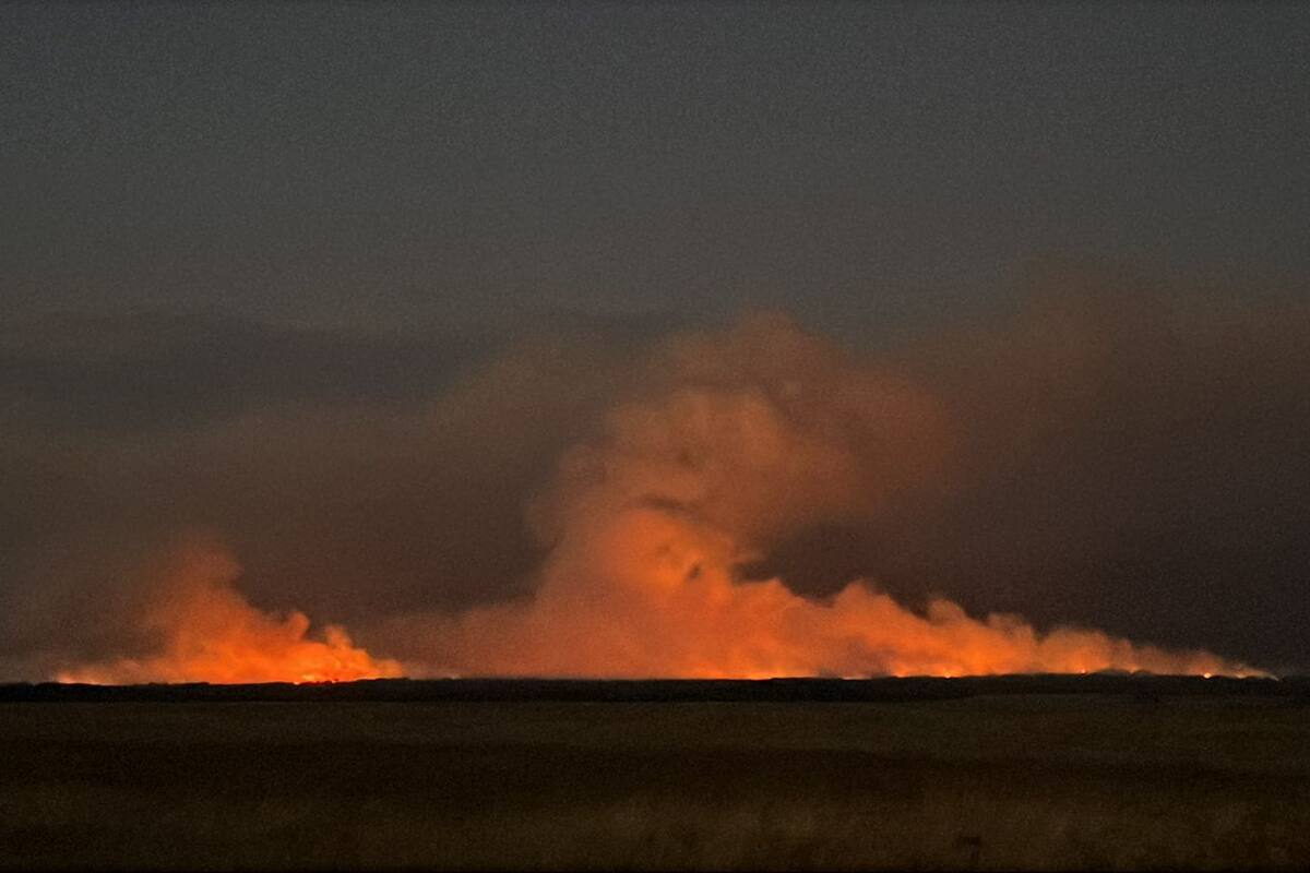 Los incendios desataron una situación es crítica en La Pampa