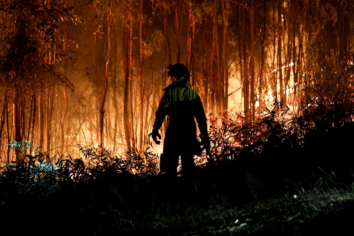Los incendios en Chile, que ya arrasaron con más de 50.000 hectáreas.