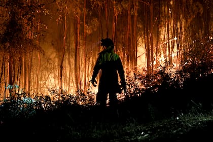Los incendios en Chile, que ya arrasaron con más de 50.000 hectáreas.