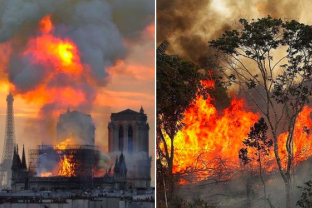Los incendios en el Amazonas fueron comparados con el incendio de la catedral francesa y despertaron indignación