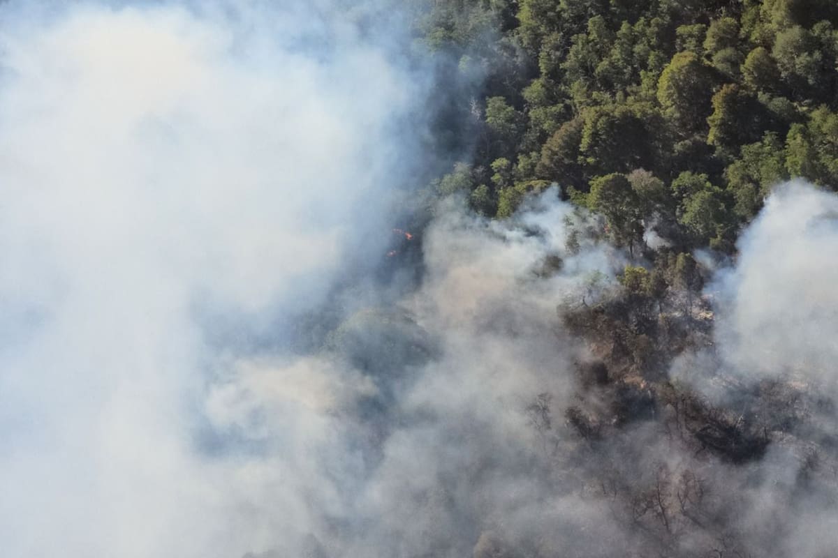Los incendios en el Parque Nacional Nahuel Huapi vistos desde arriba