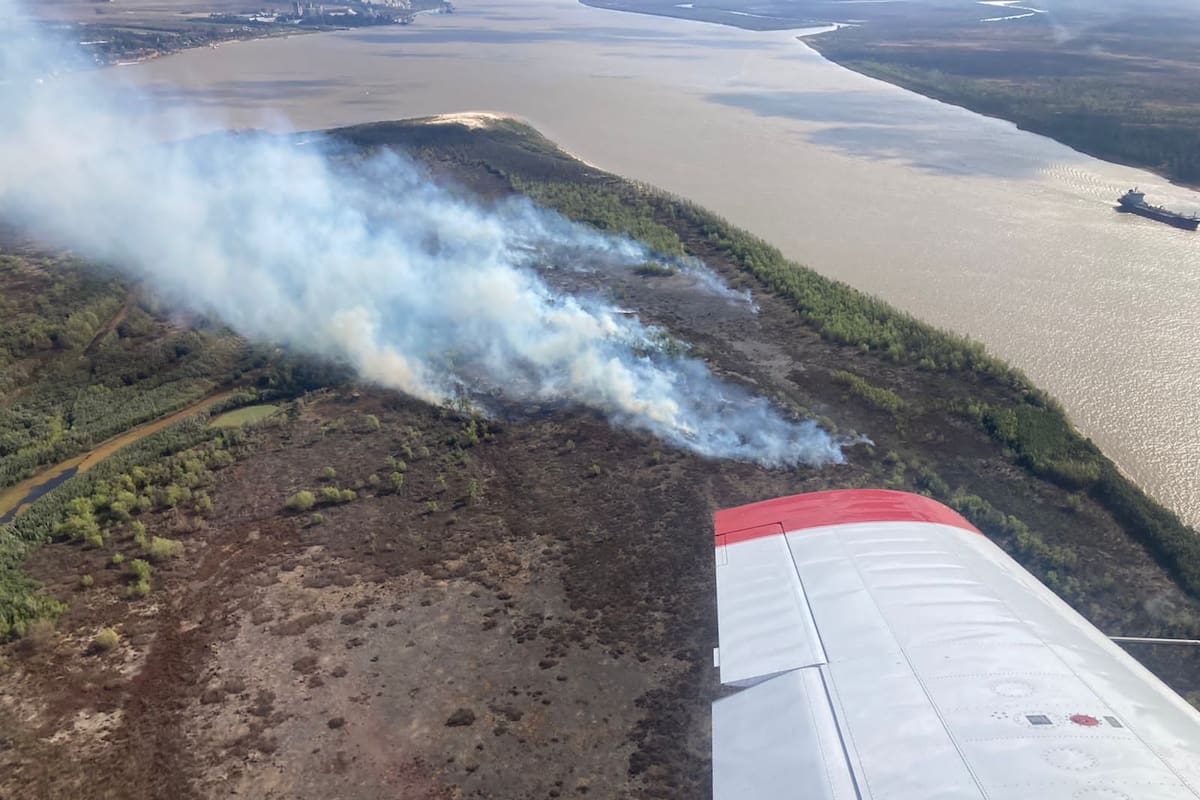 Los incendios en las islas del Delta afectan a los mismos productores agropecuarios