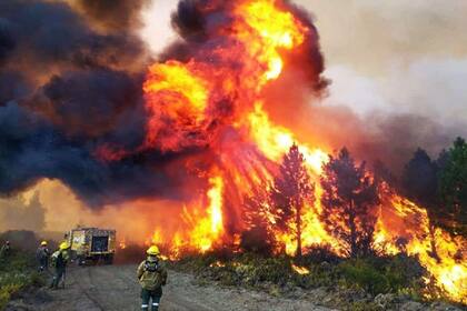 Los incendios en Quillén, en la provincia de Neuquén
