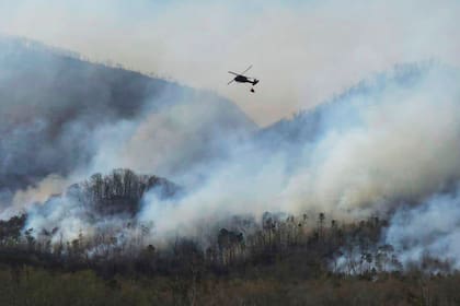 Los incendios forestales azotaron a California a comienzos de 2025