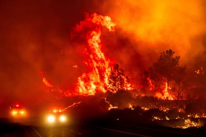 Los incendios forestales son cada vez más frecuentes e intensos en California (AP Foto/Noah Berger)