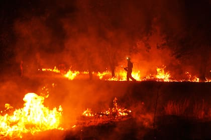 Los incendios forzaron evacuaciones masivas y llegaron a amenazar zonas próximas a grandes ciudades como Madrid y Valencia.