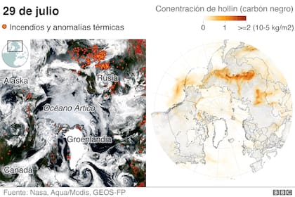 Los incendios han consumido los famosos taiga, o bosques boreales de Siberia