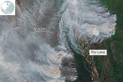 Los incendios han consumido los famosos taiga, o bosques boreales de Siberia
