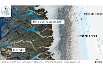 Los incendios han consumido los famosos taiga, o bosques boreales de Siberia