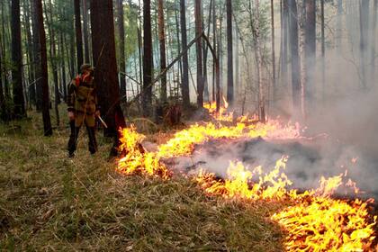 El ejército ruso ha sido llamado a ayudar a combatir los incendios