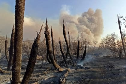 Los incendios no tienen control en San Luis