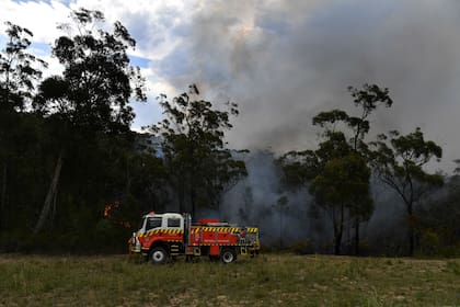 Los incendios forestales generan humo tóxico