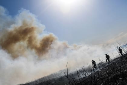 Los incendios se produjeron el 14 de agosto de 2022 en la zona del arroyo Los Laureles, en Entre Ríos