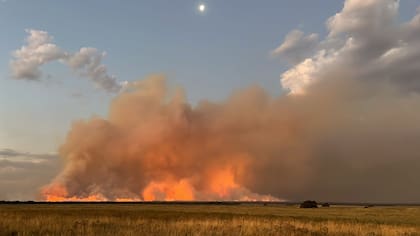 Los incendios ya arrasaron más de 100.000 hectáreas en el sur y oeste de La Pampa y activaron pedidos urgentes de asistencia financiera.