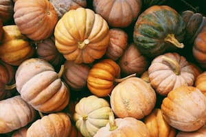 Los increíbles beneficios del zapallo cabutia, la verdura estrella del invierno