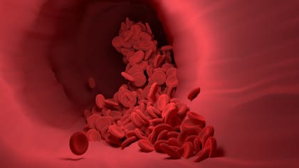 Los individuos con sangre tipo B tienen una mayor capacidad de adaptación a los cambios fisiológicos