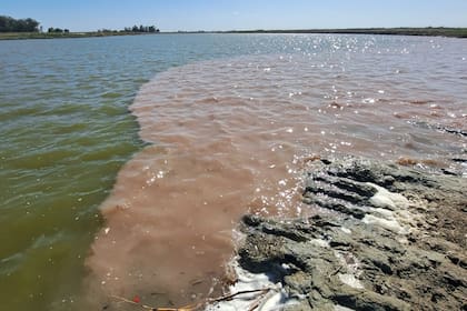 Los informes técnicos y periciales demostraron la “presencia reiterada y sistemática de DBO (demanda biológica de oxígeno), DQO (demanda química de oxígeno), fósforo total, sólidos sedimentables y coliformes fecales