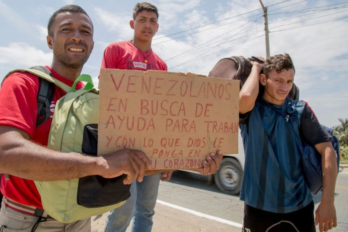 Los inmigrantes buscan integrarse rápidamente en el mercado de trabajo.