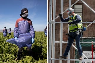 Este es el trabajo N°1 para migrantes no autorizados: cuánto ganan en los principales estados
