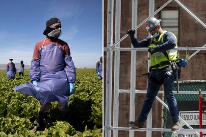 Los inmigrantes no autorizados trabajaron mayormente en dos industrias: la construcción y la agrícola