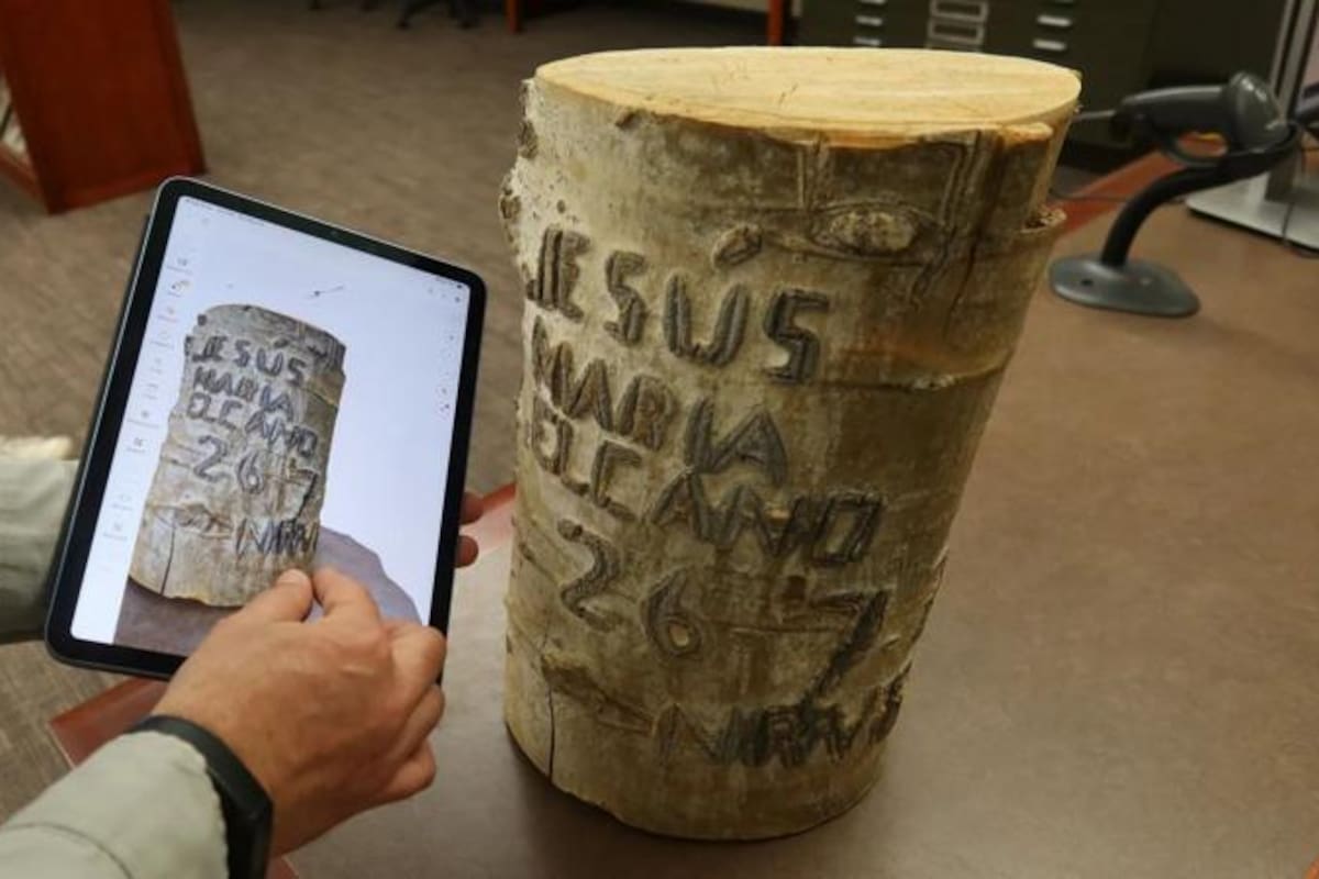 Los inmigrantes vascos tallaron sus nombres, pensamientos y nostalgias en los árboles