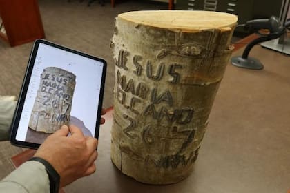 Los inmigrantes vascos tallaron sus nombres, pensamientos y nostalgias en los árboles