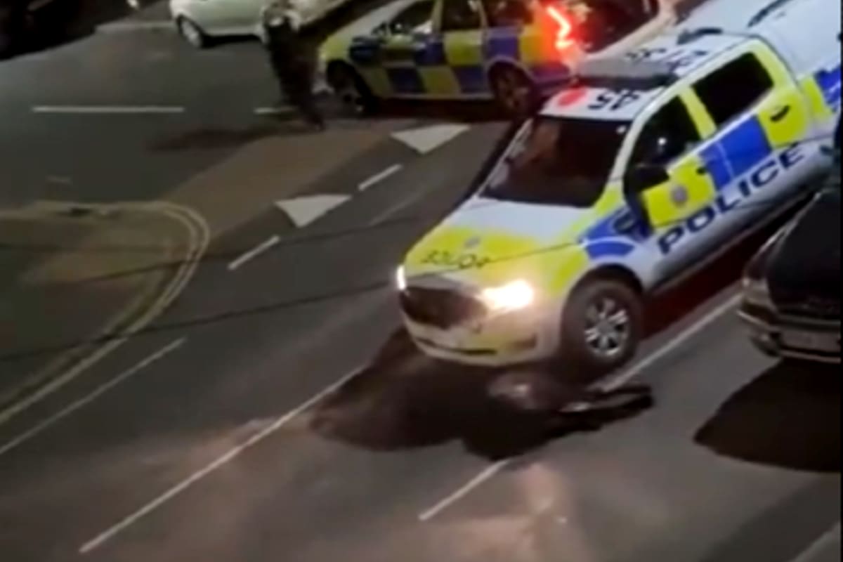 Los instantes posteriores a que un agente de la Policía de Surrey, en Reino Unido, atropellara en dos ocasiones a una vaca para "detenerla"