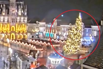 Los instantes previos a que el inmenso árbol de Navidad de 20 metros de altura se desplome sobre una mujer belga de 63 años, resultando en su muerte