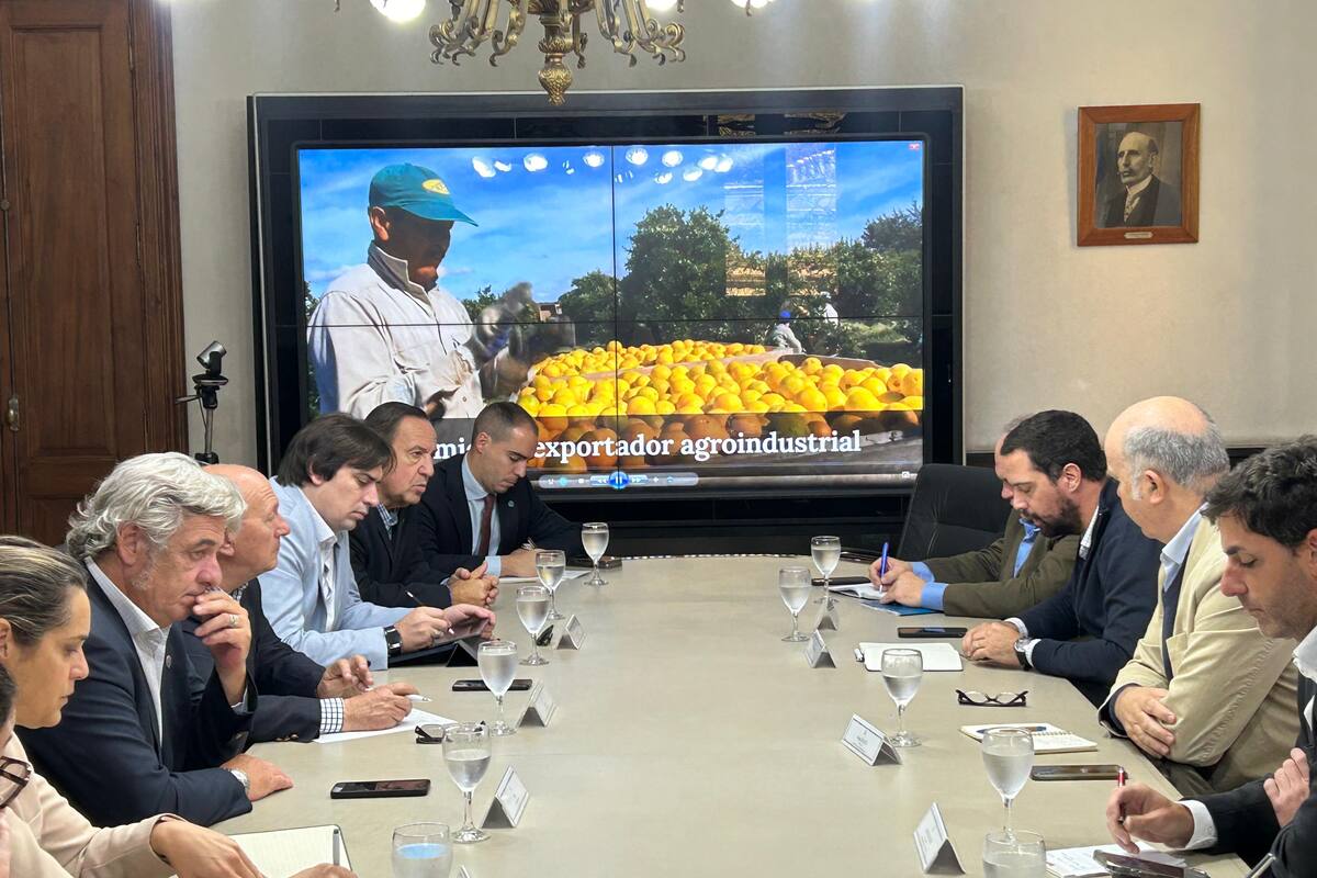 Los integrantes de la Mesa de Enlace con representantes funcionarios en la Secretaría de Agricultura