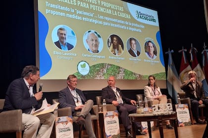 Los integrantes de la Mesa de Enlace durante el panel