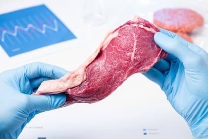 Los intentos por crear los sustitutos de la carne pasan por los productos procesados como las hamburguesas y piezas de pollo, pero en un futuro la apuesta está en crear un corte artificial en un laboratorio