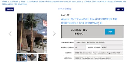 Los interesados pueden comprar las típicas palmeras falsas de casi 8 metros que están disponibles desde una oferta inicial de US$50