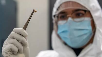 Los investigadores analizaron el ADN extraído de los dientes de 206 esqueletos antiguos