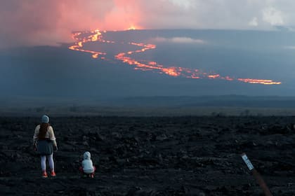 los investigadores analizaron el comportamiento de 214.086 glaciares para llegar a esta conclusión (AP foto/Marco Garcia)