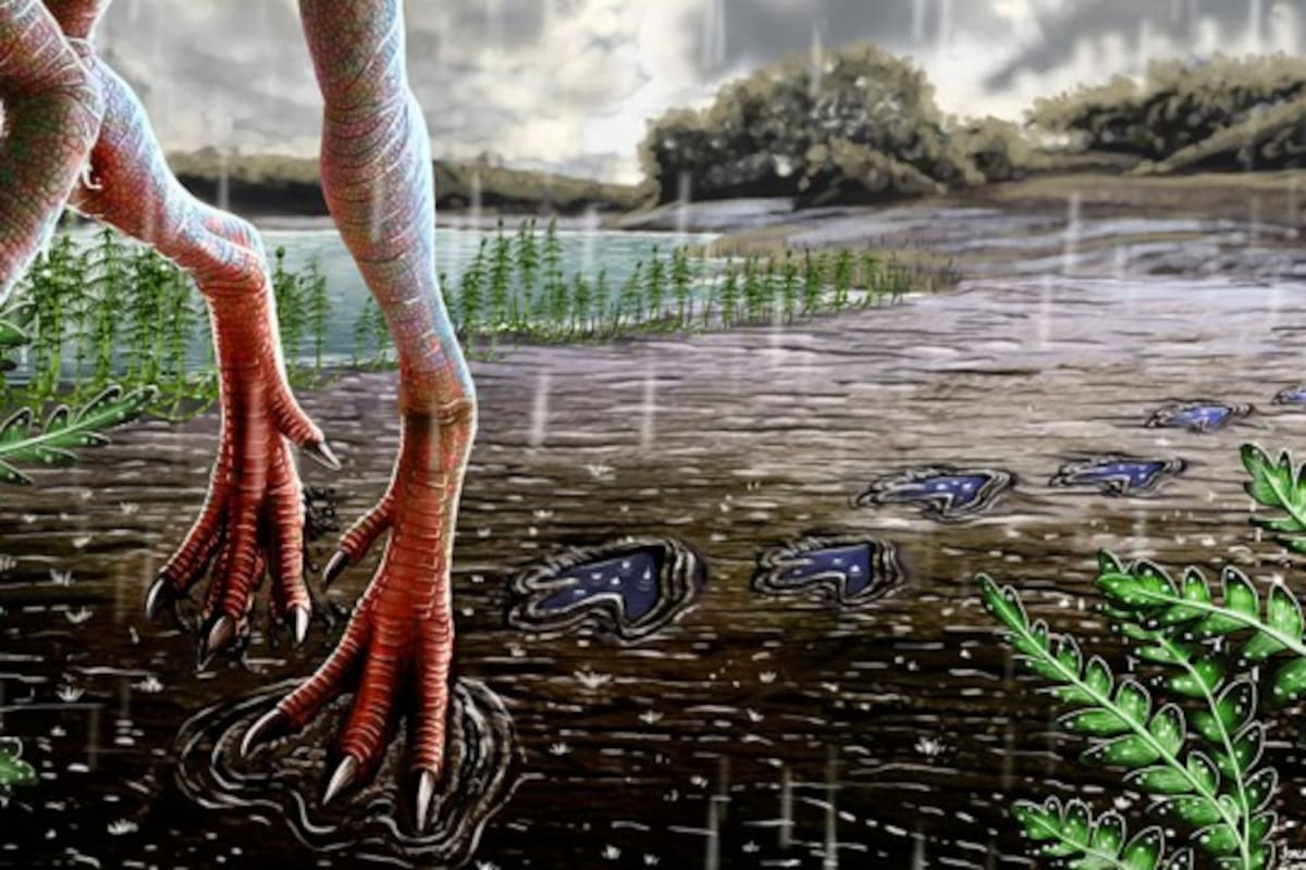 Los investigadores aportan nuevos indicios del impacto del clima a nivel global en el desarrollo de los dinosaurios.