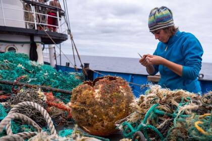 Los investigadores colaboraron con el Instituto Ocean Voyages para recolectar los residuos del océano