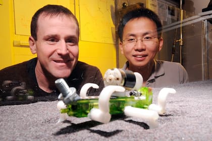 Los investigadores Daniel Goldman y Chen Li observan el desplazamiento de su creación