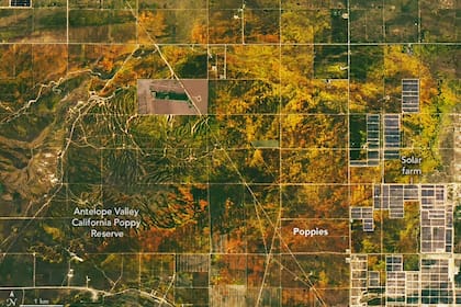 Los investigadores de la NASA publicaron un par de fotografías satelitales donde se muestra la floración en California